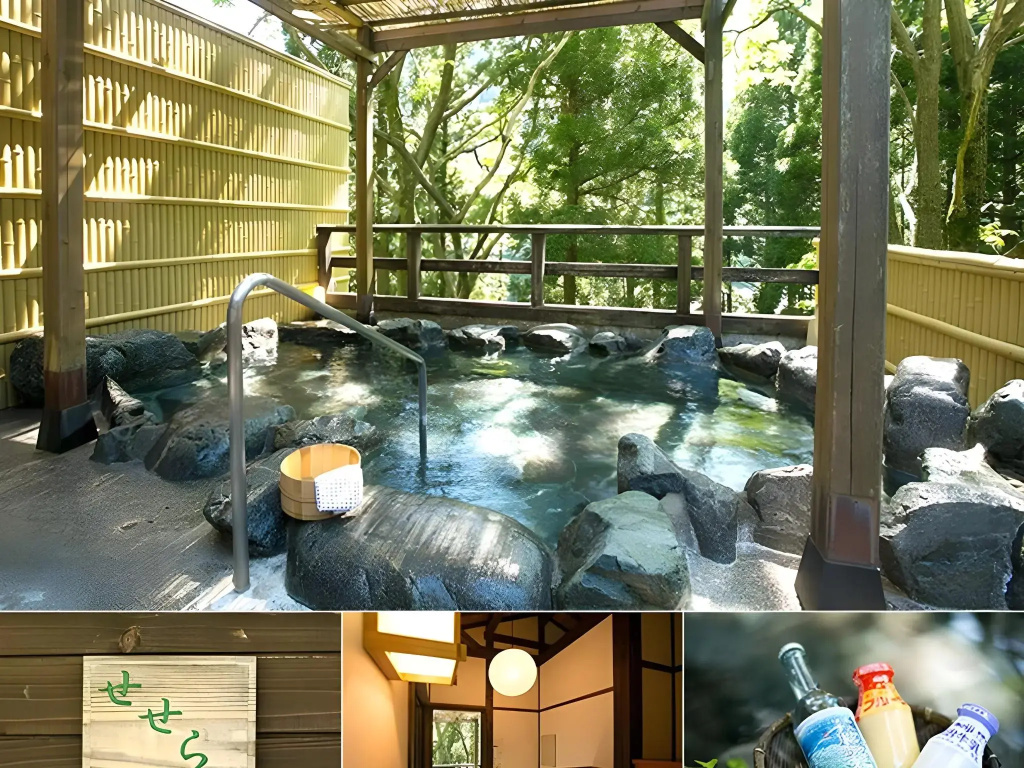 Sanyanagitei Ryokan - Général
