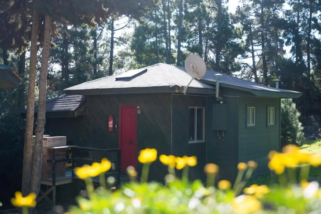 Bungalow