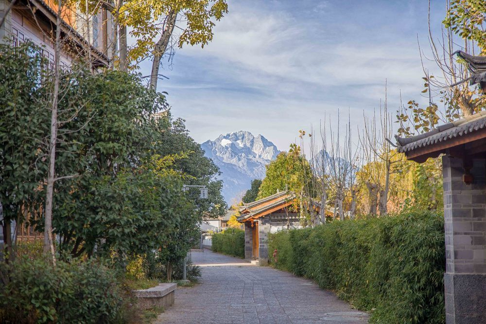 Lijiang Yongli Five Yard - Général