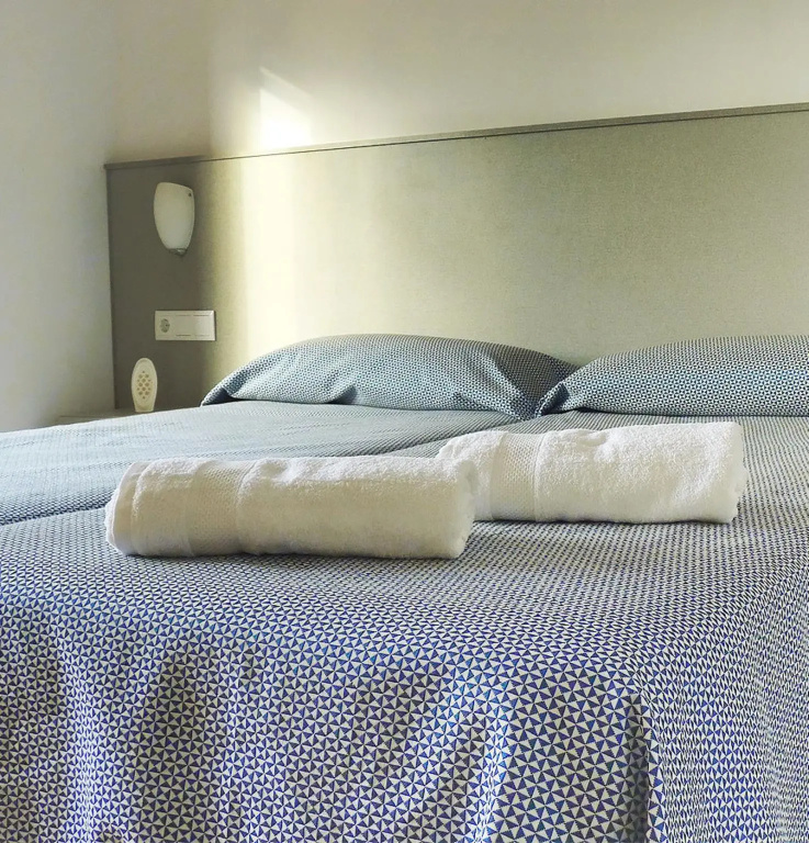 Standard Double room (2 twin beds)