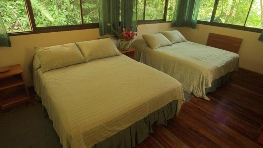 Selva Verde Lodge picture