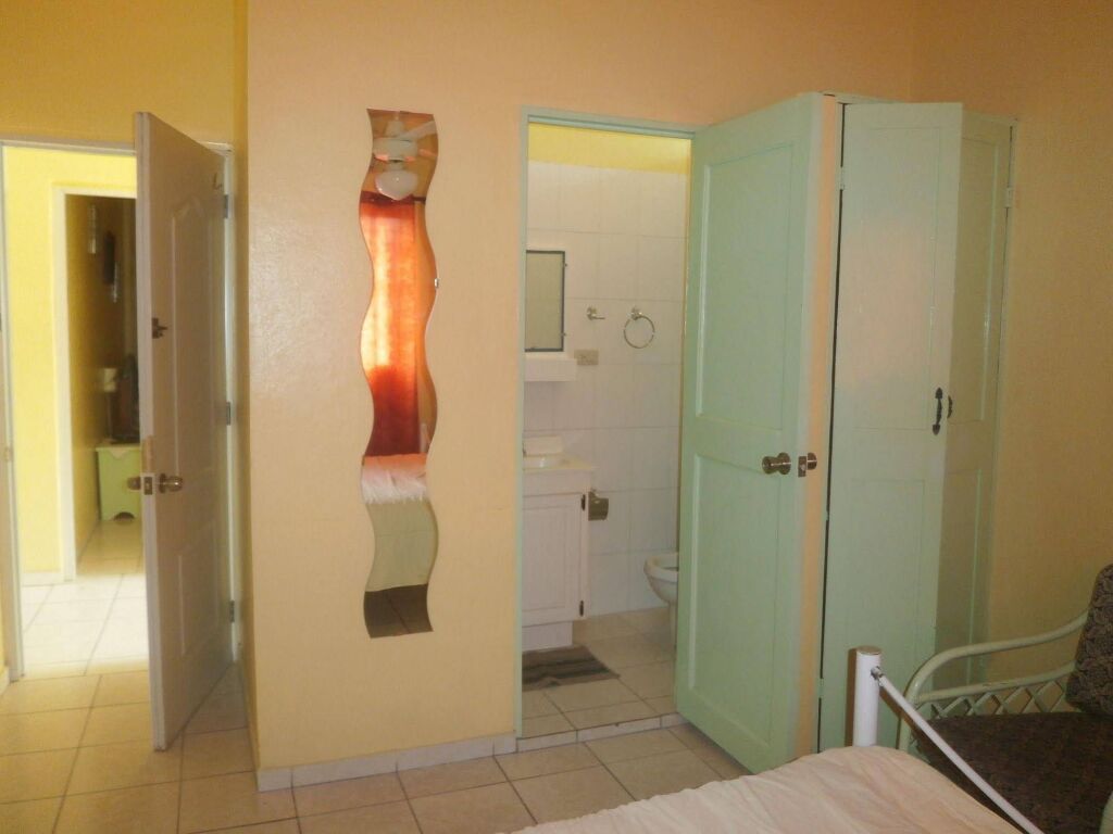 Hotel Mango by null