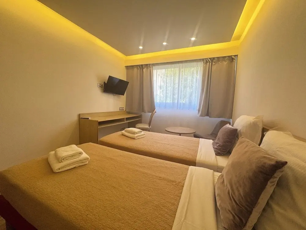 Classic Double room (twin beds)