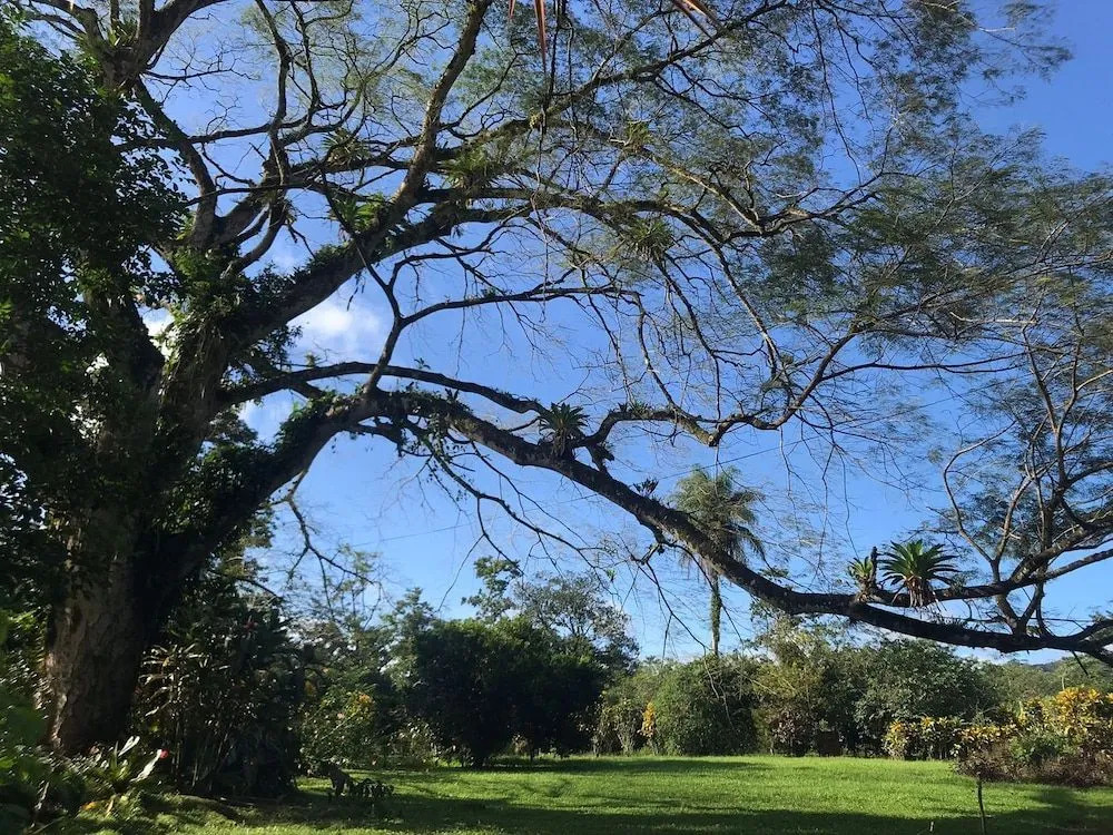 Santa Maria Volcano Lodge - фото 13