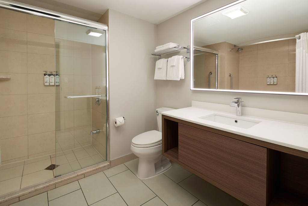 Holiday Inn & Suites Montreal Airport by IHG - Général