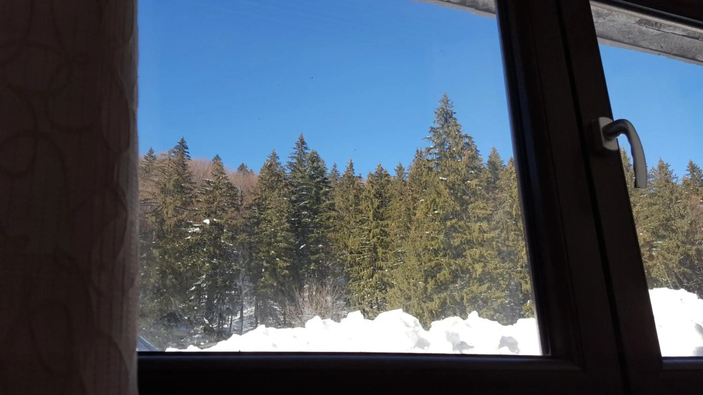 Apartament Andra