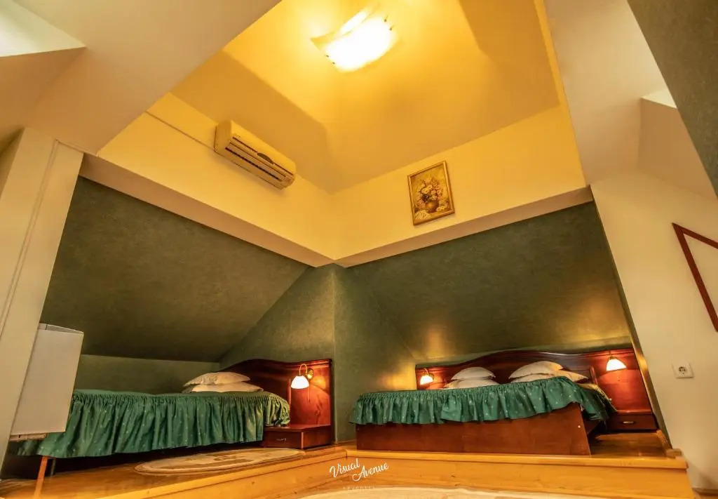 Pensiunea Serena — фото 2