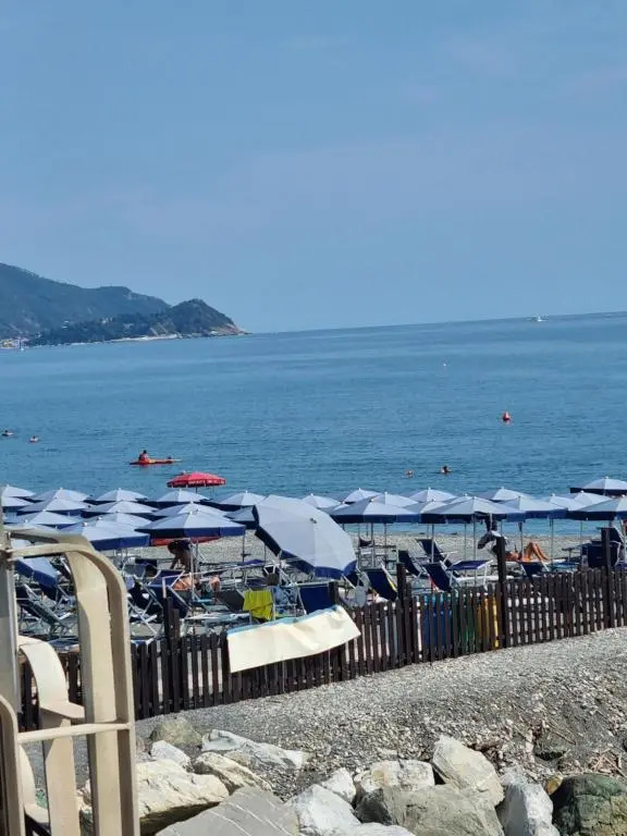Beach & Waterfront