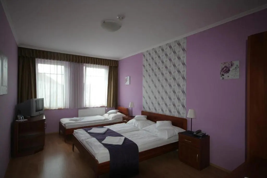 Hotel Patonai - Chambres