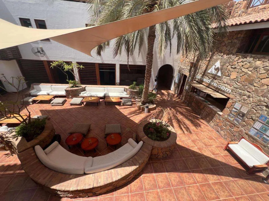 Camel Dive Club & Boutique Hotel - Général