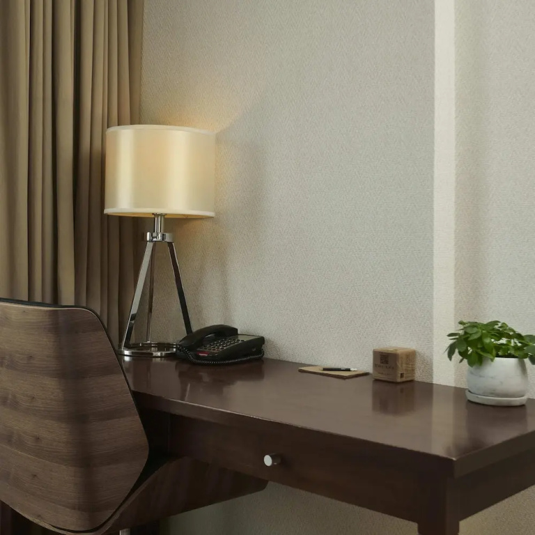 Standard Double room with city view (full double bed)