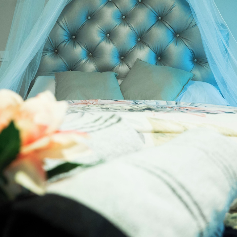 Standard Double room with mountain view (full double bed)
