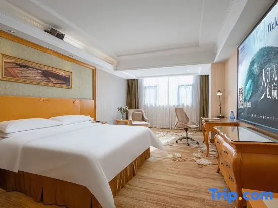 Viennahotel Shenzhen Longhua South Renmin Road - Chambres