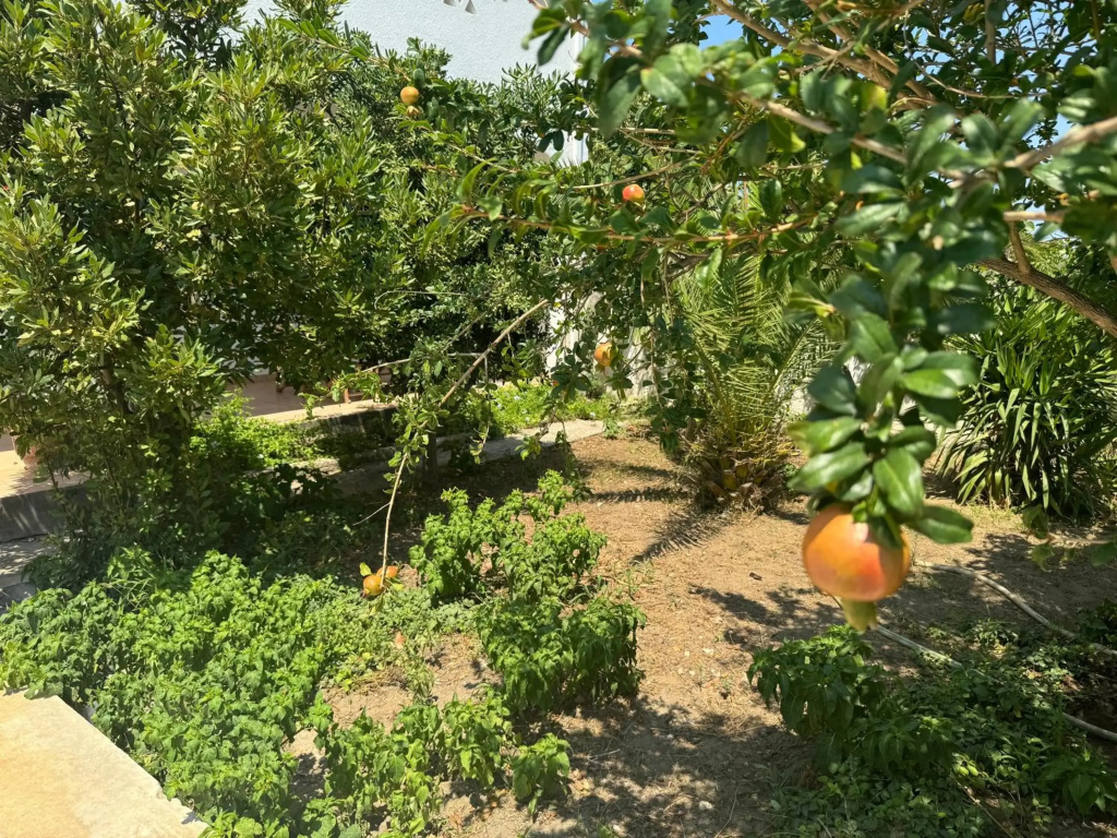 Al Mare Skyros, Fully-equipped house