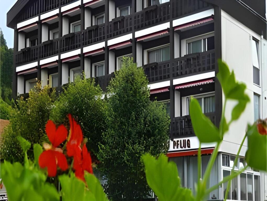 Hotel Pflug
