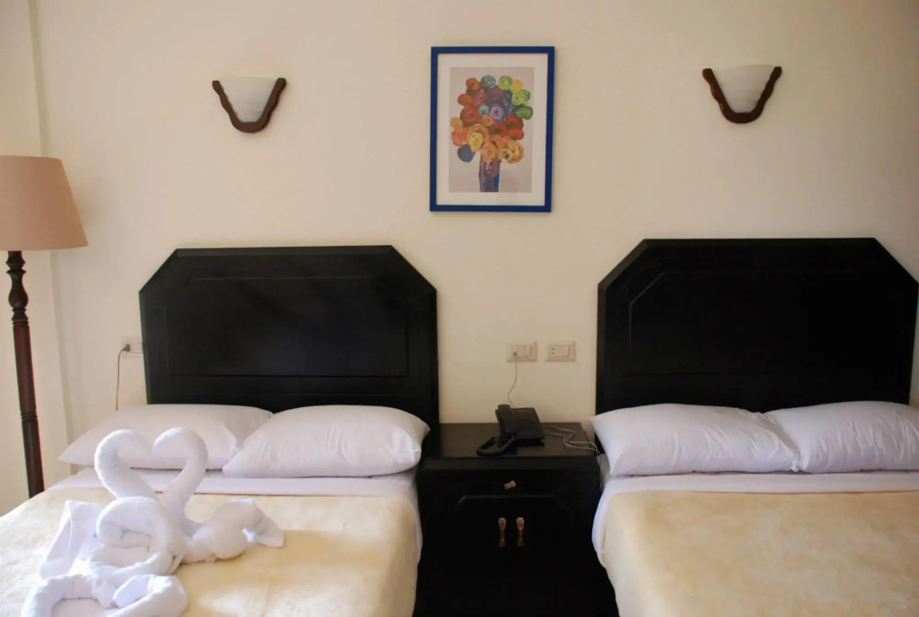 Sea View Hotel Elagamy - Général