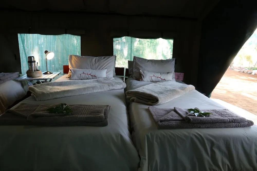 Tent (twin beds)