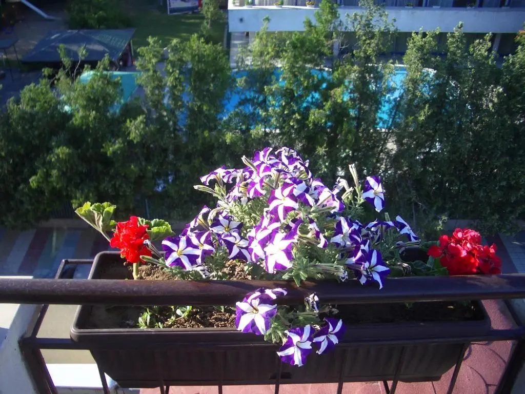 Hotel Strinava - Chambres