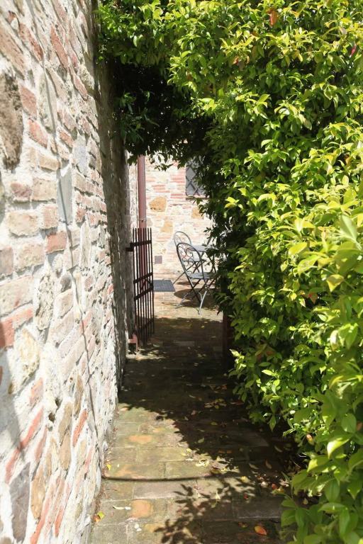 Image 24