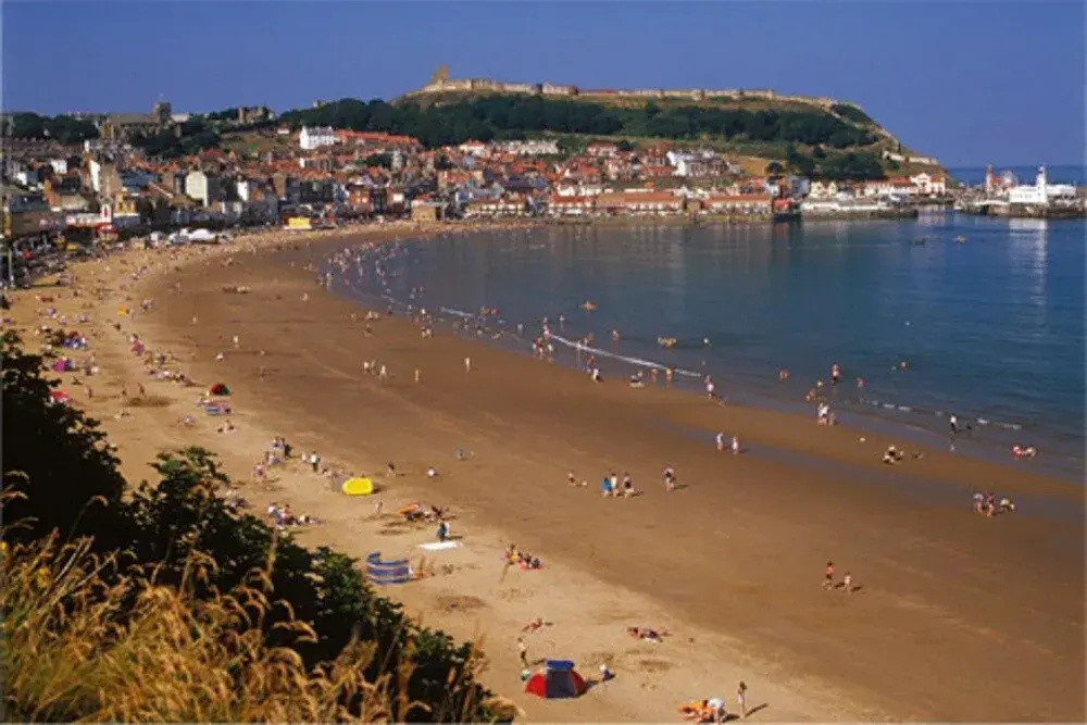 Beach & Waterfront