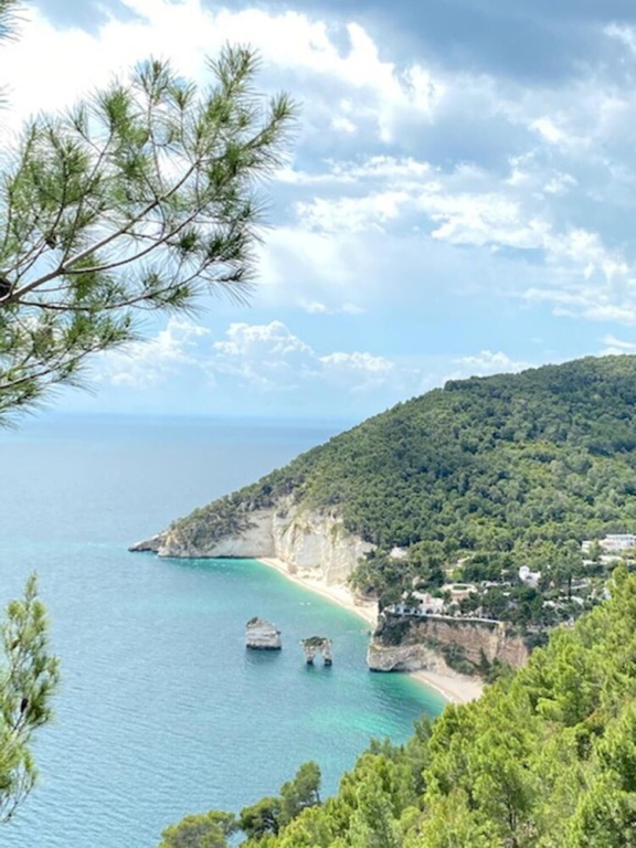 Beach & Waterfront