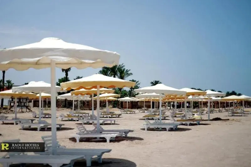 Raouf Star — фото 6