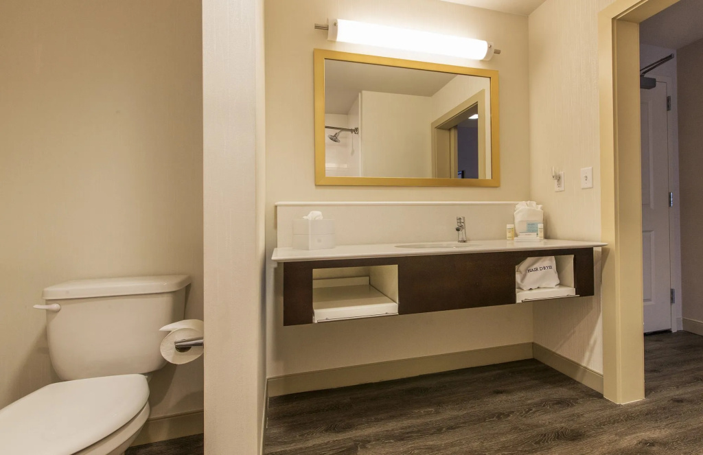 Homewood Suites by Hilton Houston Downtown Convention Center - Général