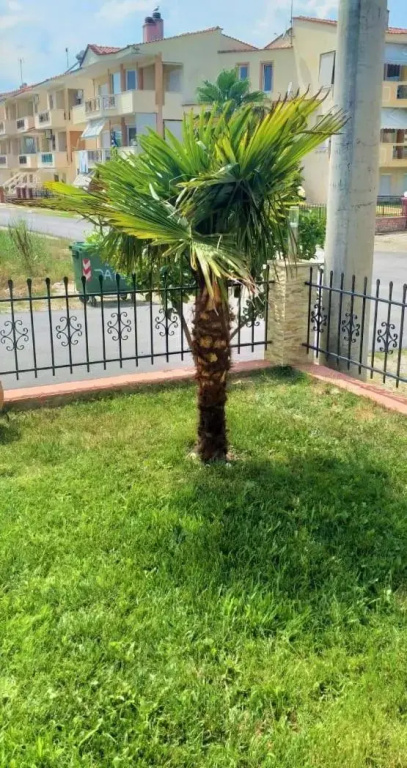 Garden Suite