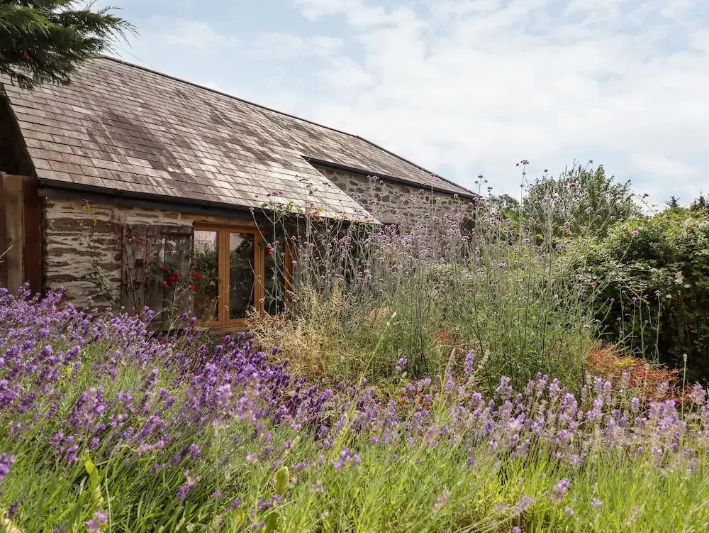 The Cider House - фото 46