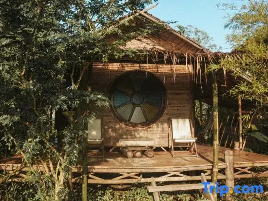Yidan’s Permaculture Farm stay
