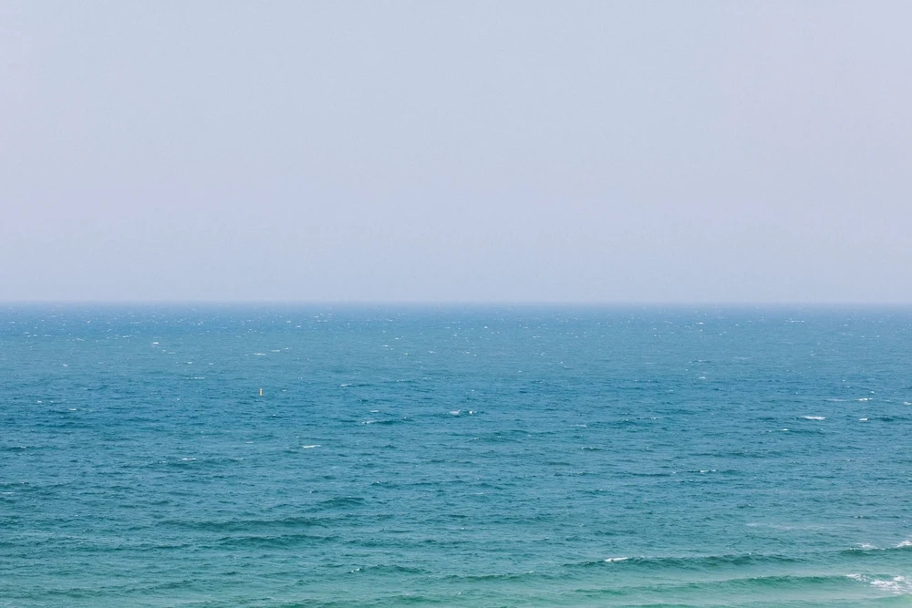 Image 29