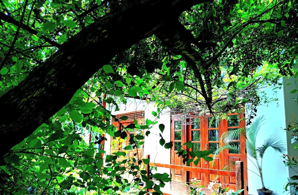 solitary resort