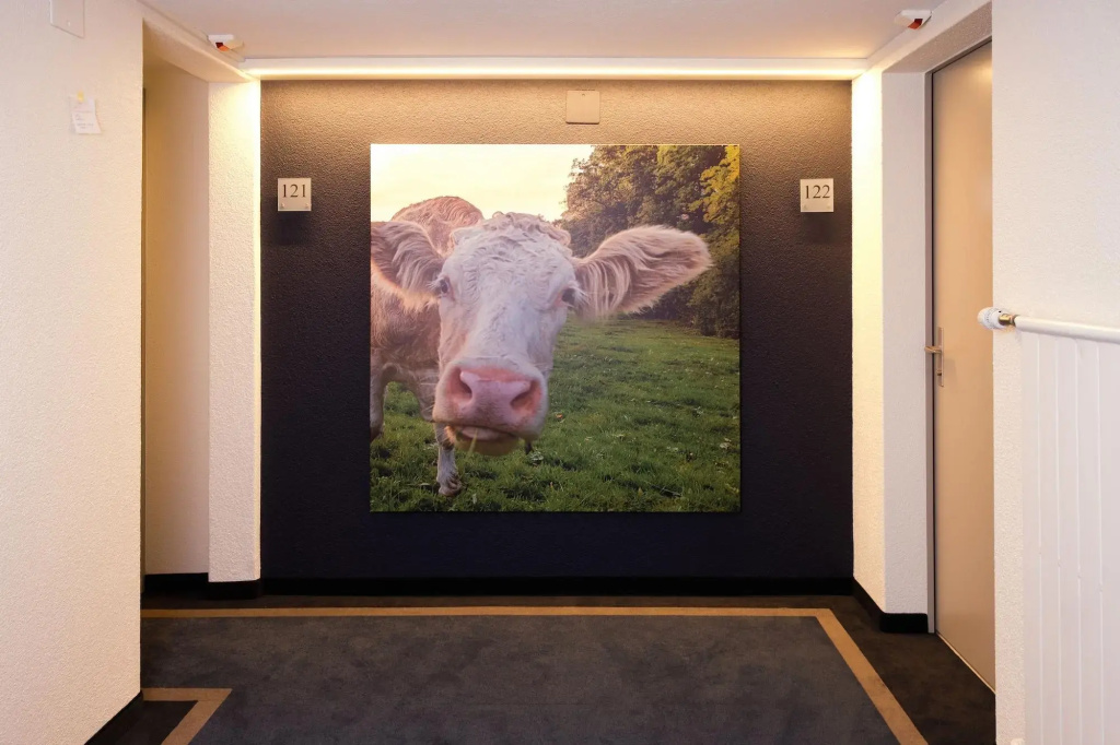 Hotel photo 32