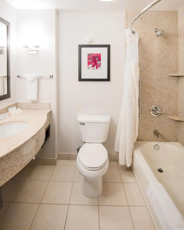 Hilton Garden Inn Avondale - Chambres