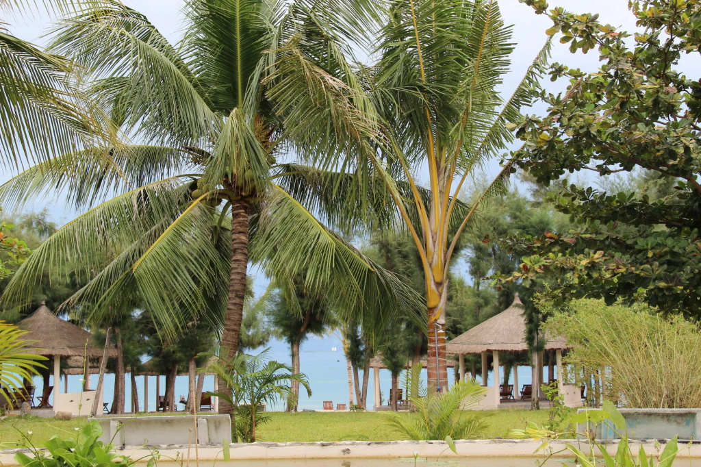 Beach & Waterfront