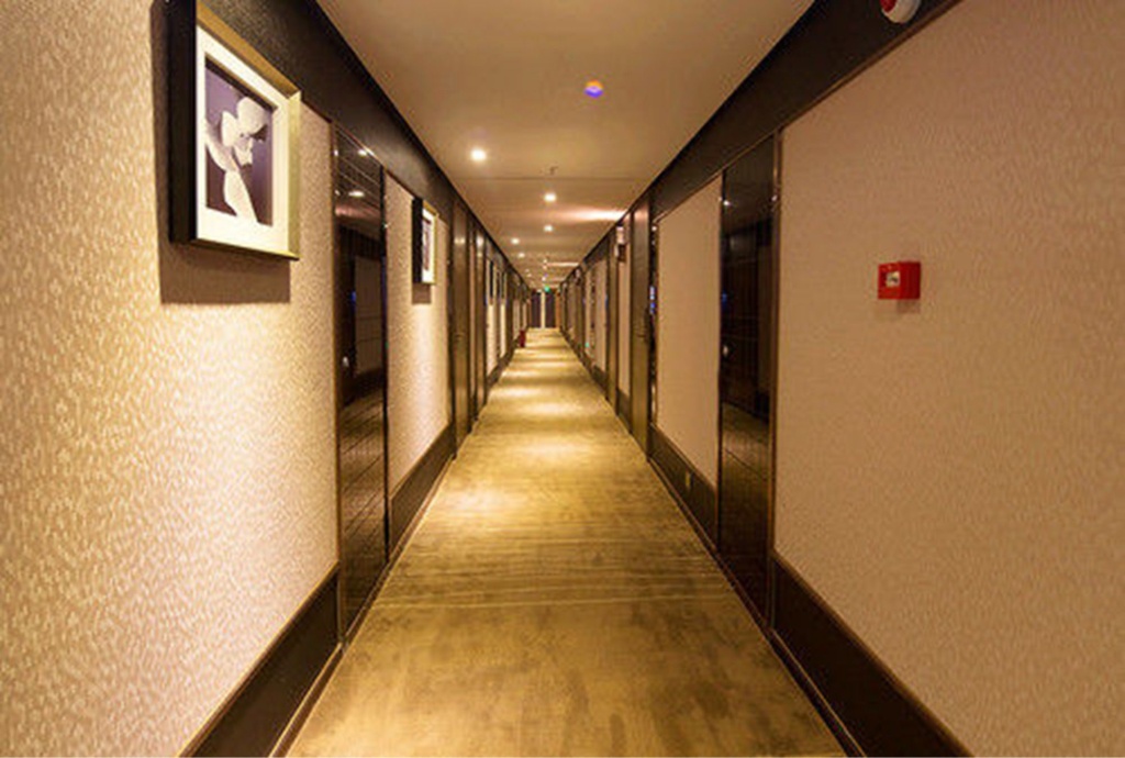 INSAIL Hotel (Shenzhen Dongmen Branch ) - Général