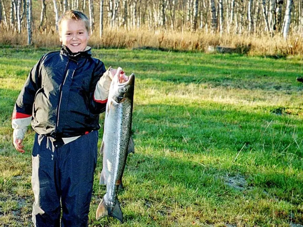 4 Star Holiday Home in Indre Billefjord — фото 5