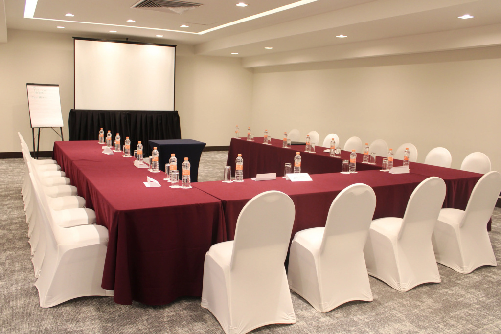 Holiday Inn Mexico Dali Airport by IHG - Général