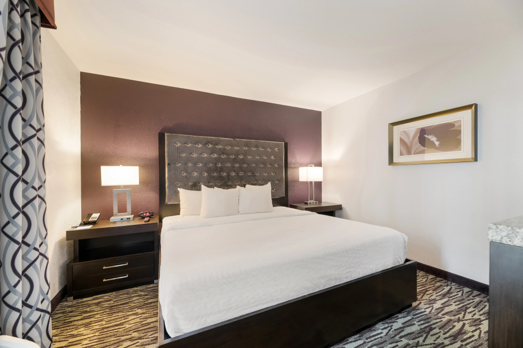 Clarion Inn & Suites Across From Universal Orlando Resort - Général