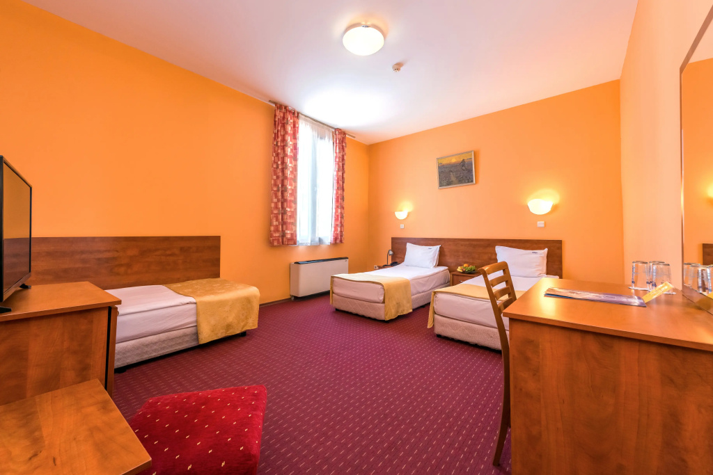 Sveta Sofia Hotel - Chambres