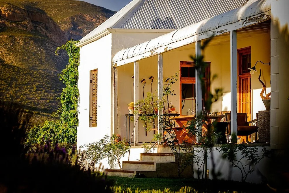 Vrisch Gewagt Boutique Self-Catering Olive Farm