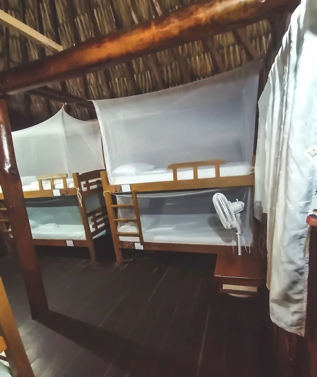 Bed in Dorm