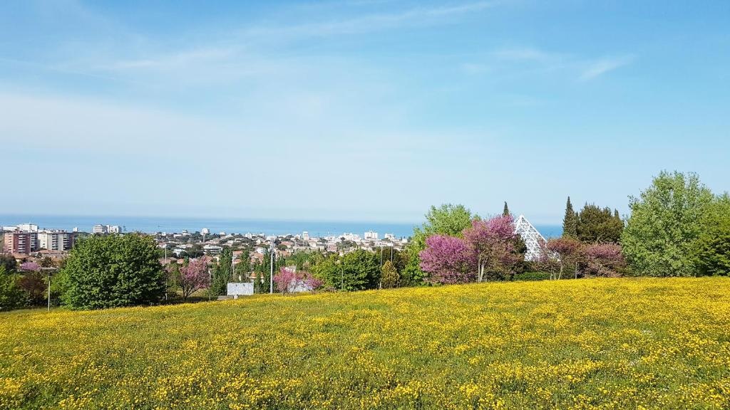 CasaRava Sul Parco