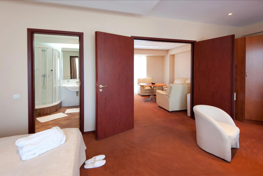 Cocor Spa Hotel - фото 4