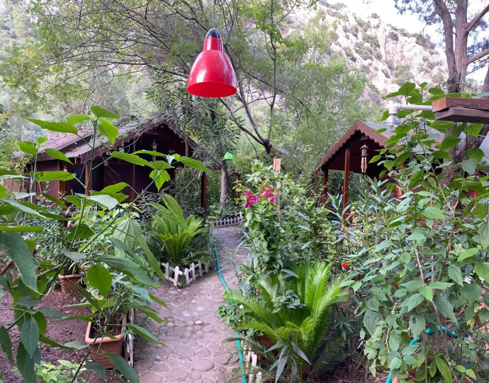 Canario Bungalows Pension