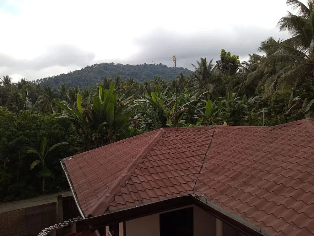 A's Place - фото 17