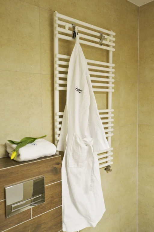 Baginscy Spa - Chambres