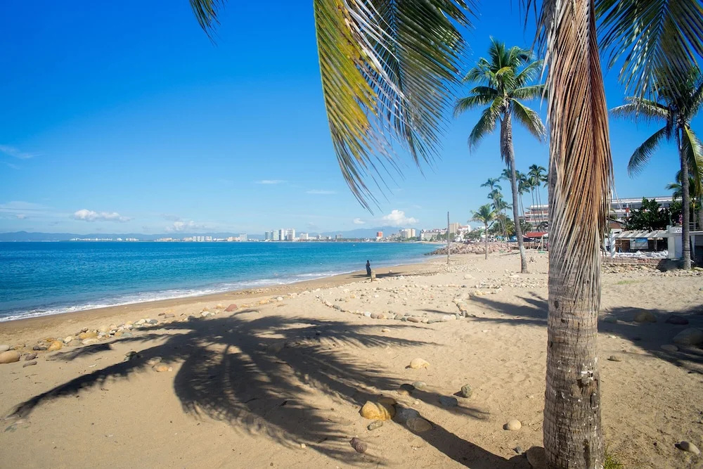 Beach & Waterfront