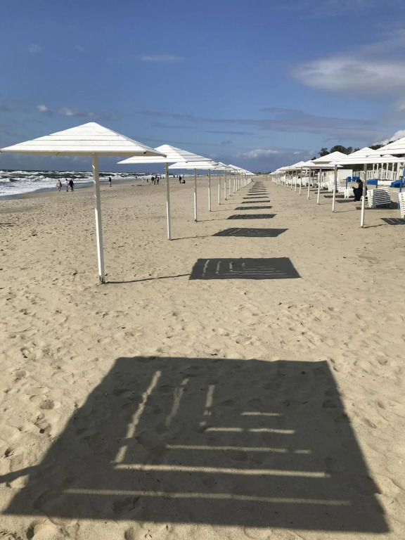 Кусто - фото 24