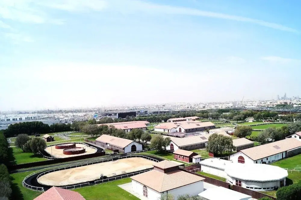 Safeer Tower 2 - фото 16